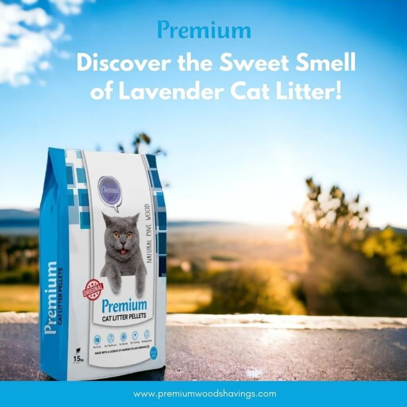 Premium For Biofuels A Guide to Wood Pellet Cat Litter How It's Made and Why It's Superior