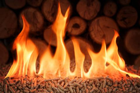  Premium For wood shavings & wood pellets  - Are our products environmentally friendly?