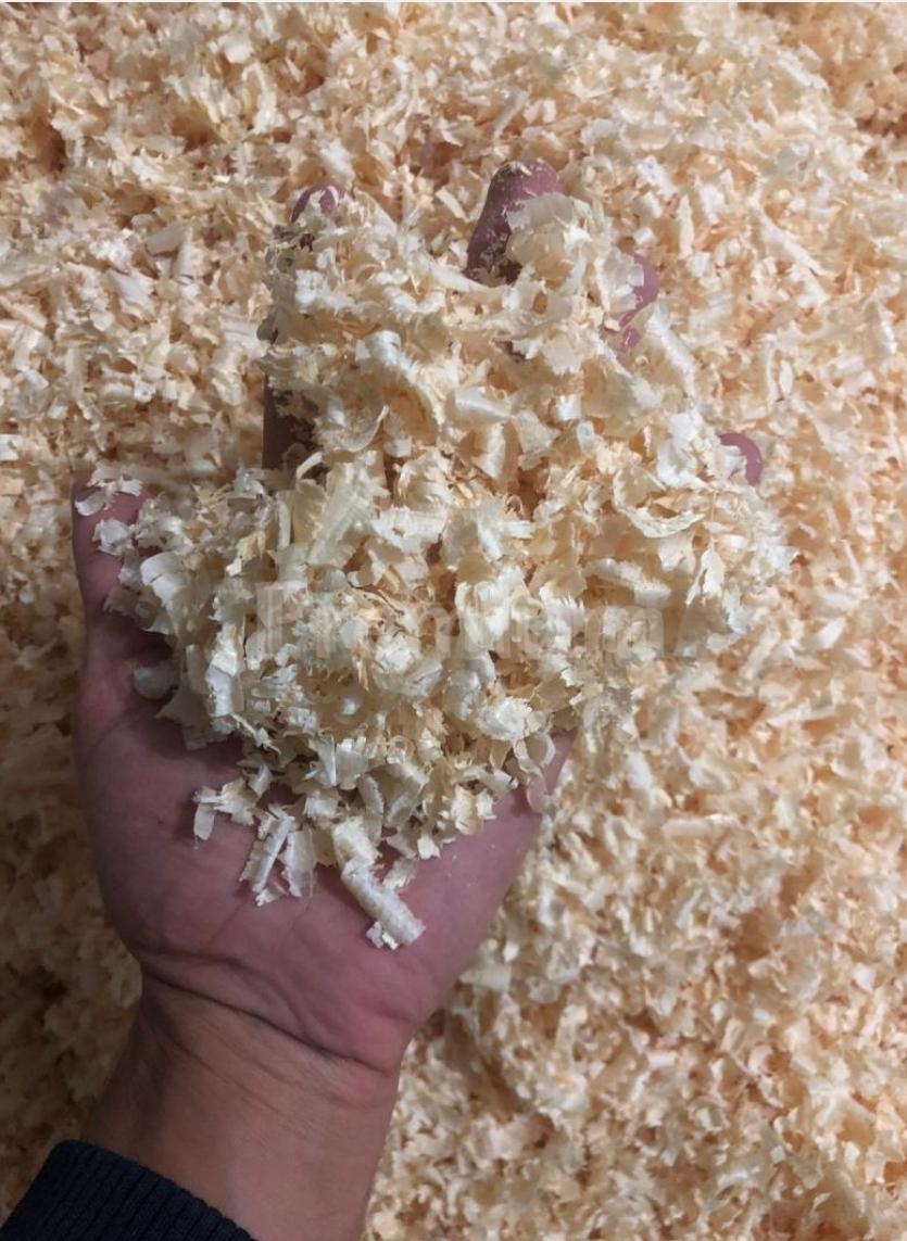 Premium Per Pellet di legno e trucioli e lettiera per gatti -  trucioli di legno per animali domestici 1 kg