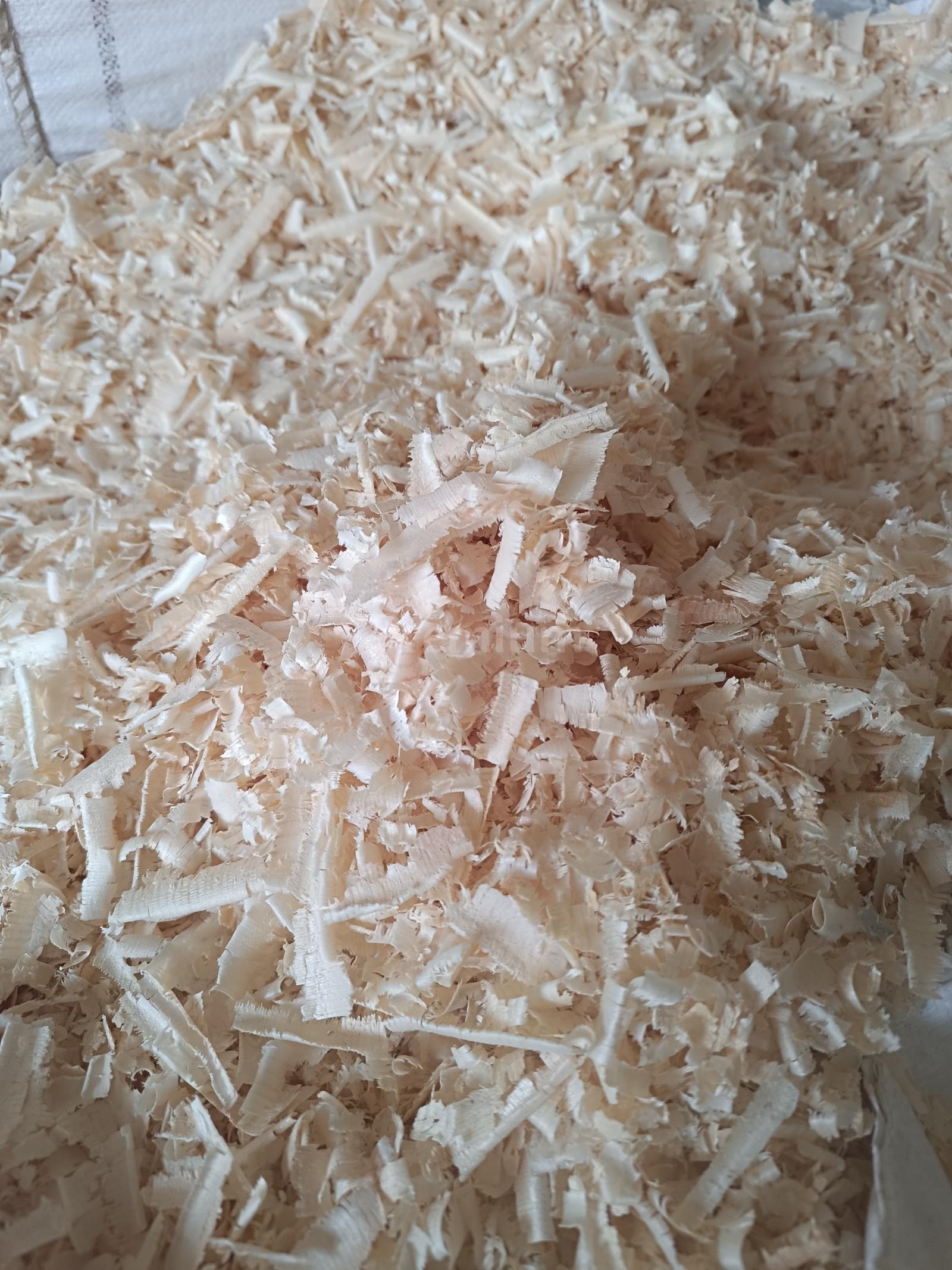 Premium Per Pellet di legno e trucioli e lettiera per gatti - Trucioli Di Legno